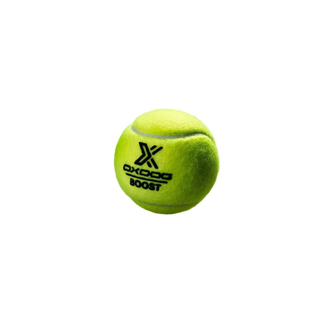 Balles de padel Oxdog (étui de 3 balles) padellife
