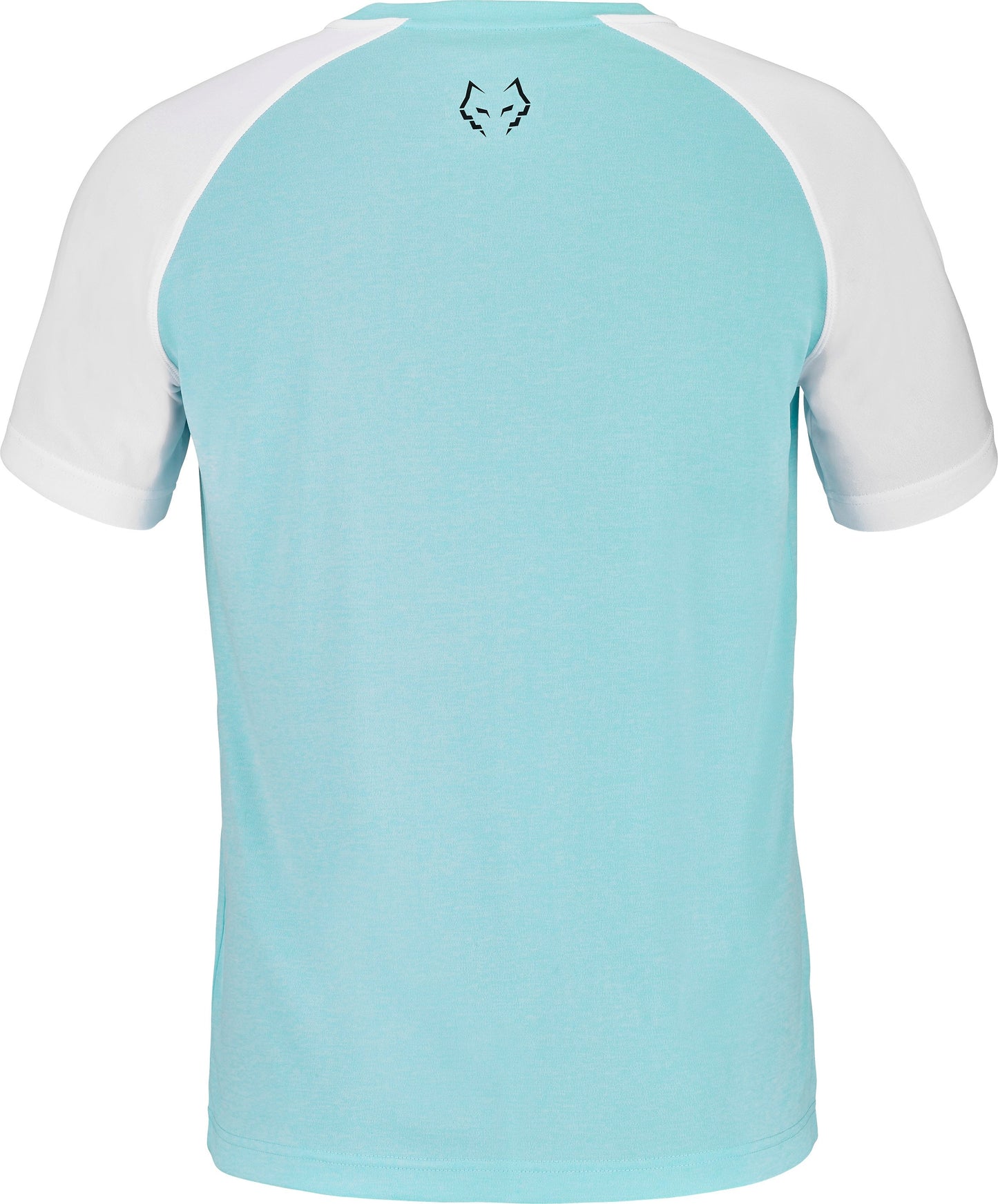 T-shirt à col rond Babolat Juan Lebron (Bleu/Blanc)